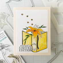 Load image into Gallery viewer, Gina K Designs - Limited Edition - Stamp Set, Die Set and Stencil Bundle