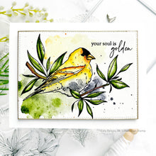 Load image into Gallery viewer, Gina K Designs - Glorious Goldfinches - Stamp Set and Die Set Bundle
