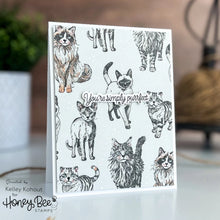 Load image into Gallery viewer, Honey Bee Stamps - Paws and Purrs - Stamp Set and Die Set Bundle