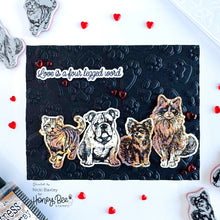 Load image into Gallery viewer, Honey Bee Stamps - Paws and Purrs - Stamp Set and Die Set Bundle
