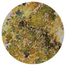 Load image into Gallery viewer, Bundle of 4 Tonic Nuvo Shimmer Powders