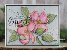 Load image into Gallery viewer, Gina K Designs - Sweet Memories - Stamp Set and Die Set Bundle