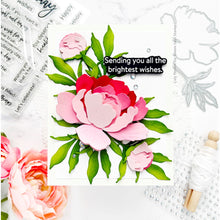 Load image into Gallery viewer, Honey Bee Stamps - Honey Cuts - Lovely Layers: Peony