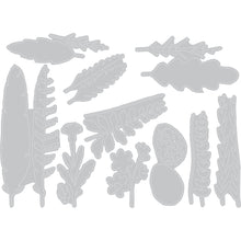 Load image into Gallery viewer, Sizzix - Tim Holtz - Thinlits Dies - Funky Nature