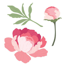 Load image into Gallery viewer, Honey Bee Stamps - Honey Cuts - Lovely Layers: Peony