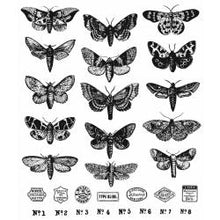 Load image into Gallery viewer, Stampers Anonymous - Tim Holtz - Halloween - Cling Mounted Rubber Stamps - Moth Study