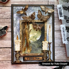 Load image into Gallery viewer, Stampers Anonymous - Tim Holtz - Halloween - Cling Mounted Rubber Stamps - Moth Study