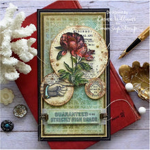 Load image into Gallery viewer, Stampers Anonymous - Tim Holtz - Cling Mounted Rubber Stamp Set - Botanic Collage