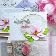 Load image into Gallery viewer, Honey Bee Stamps - Honey Cuts - Circlescapes Shaker Frames Dies