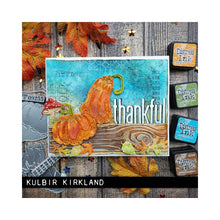 Load image into Gallery viewer, Sizzix - Tim Holtz - Thinlits Die - Pumpkin Duo Colorize