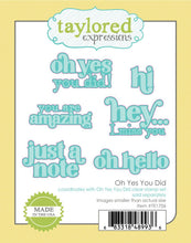 Load image into Gallery viewer, Taylored Expressions - Oh Yes You Did - Stamp Set and Die Set Bundle