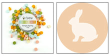 Load image into Gallery viewer, Honey Bee Stamps - Wax Stamper and Melts Bundle - Bunny