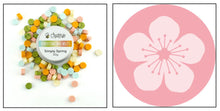 Load image into Gallery viewer, Honey Bee Stamps - Wax Stamper and Melts Bundle - Cherry Blossom
