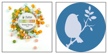Load image into Gallery viewer, Honey Bee Stamps - Wax Stamper and Melts Bundle - Spring Bird