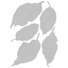 Load image into Gallery viewer, Sizzix - Tim Holtz - Thinlits Dies - Leaf Fragments