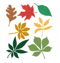 Load image into Gallery viewer, Recollections Die Set Bundle - Poppy Flowers, Tropical Leaves, Fall Leaves
