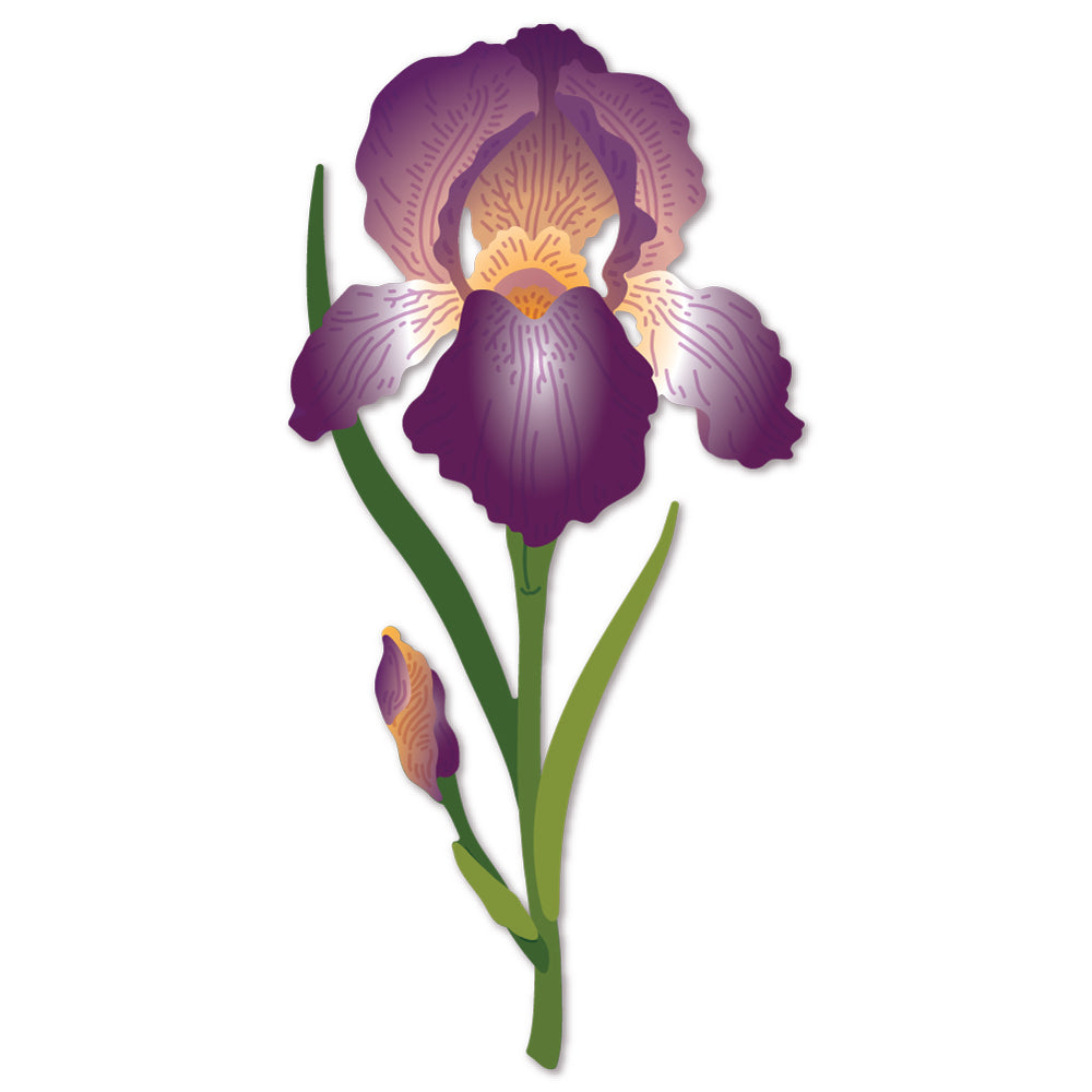 Honey Bee Stamps - Honey Cuts - Lovely Layers: Iris