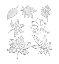 Load image into Gallery viewer, Recollections Die Set Bundle - Poppy Flowers, Tropical Leaves, Fall Leaves
