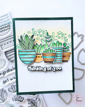 Load image into Gallery viewer, Gina K Designs - Sweet Succulents - Stamp Set and Die Set Bundle
