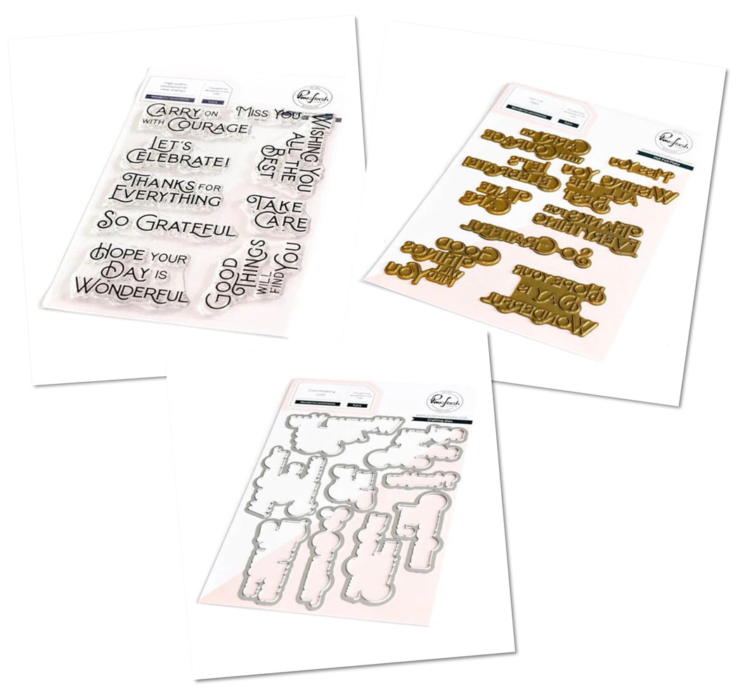 Pinkfresh Studio - Wonderful Sentiments - Stamp Set, Die Set and Hot Foil Plate Bundle