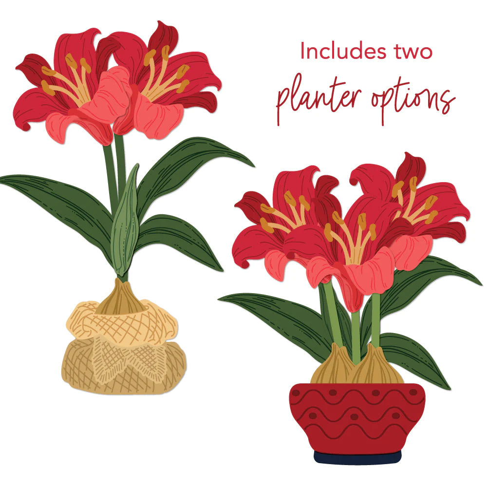 Honey Bee Stamps - Honey Cuts - Lovely Layers: Amaryllis