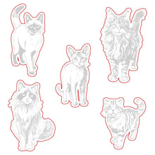 Load image into Gallery viewer, Honey Bee Stamps - Paws and Purrs - Stamp Set and Die Set Bundle
