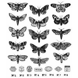 Stampers Anonymous - Tim Holtz - Halloween - Cling Mounted Rubber Stamps - Moth Study