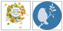 Load image into Gallery viewer, Honey Bee Stamps - Wax Stamper and Melts Bundle - Spring Bird
